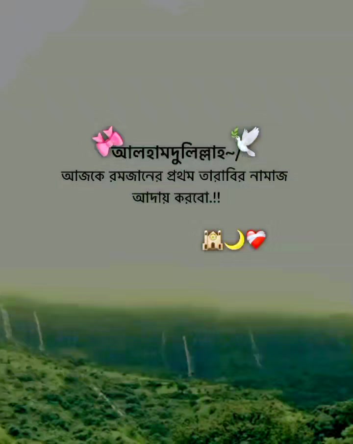 @🔰.ধর্ষিত...কলিজা.JT🔰