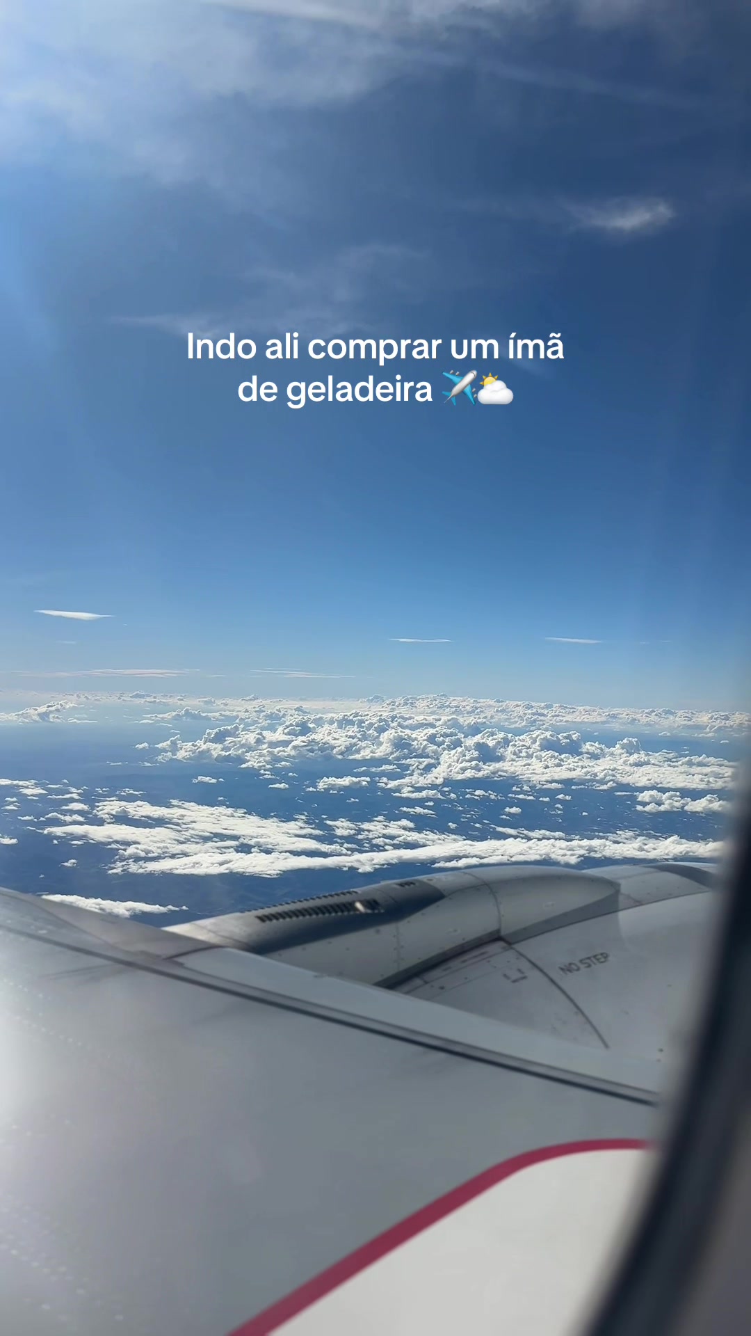 @laylla_alvess