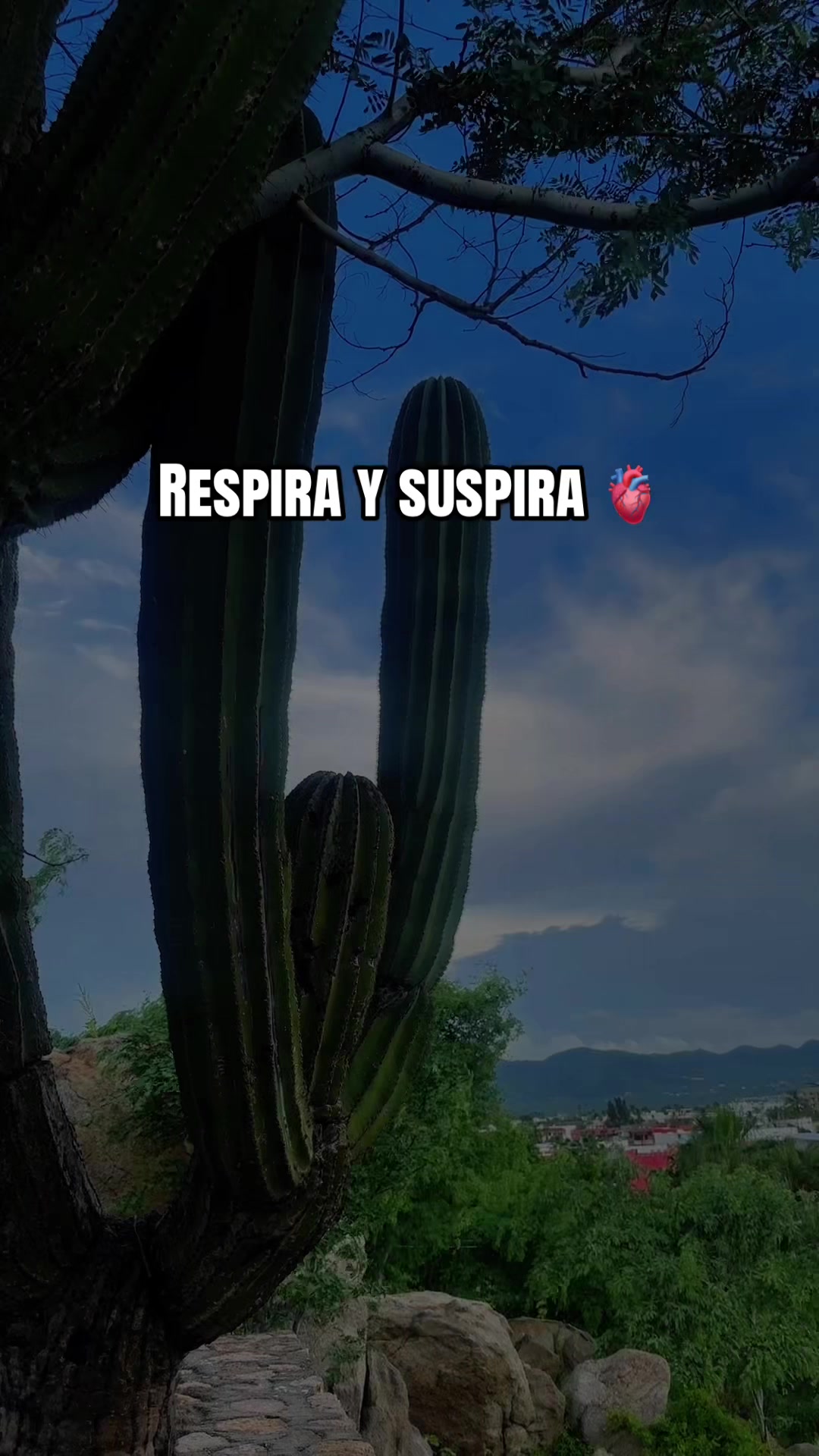 @Man&mdash;Ro