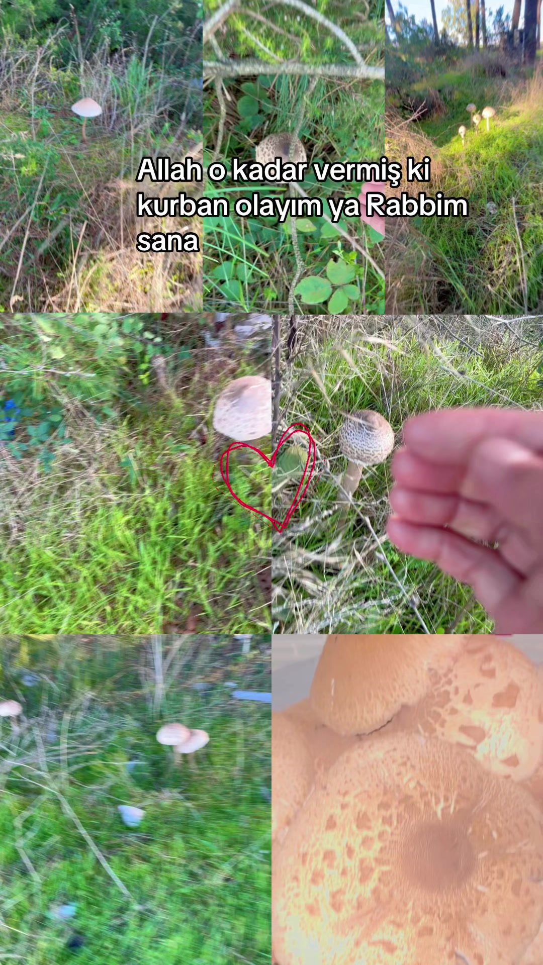 @Gönülünpatileri
