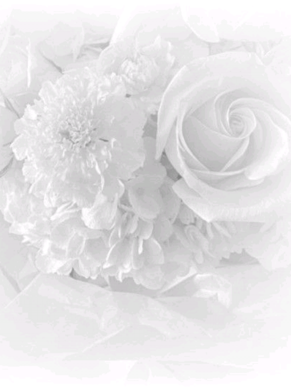 @🎂 𝑎lix ⌗ ﹐ ୨ৎ