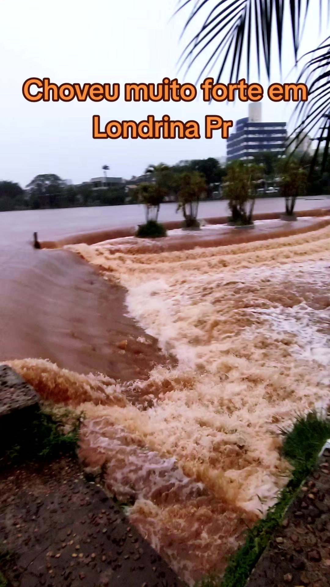 @Paranaense TK