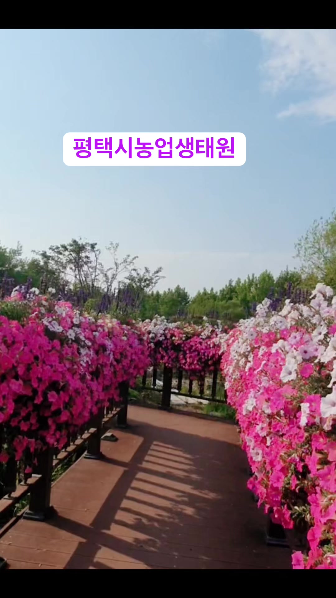 @👉🇰🇷𝕸𝖗. 𝖇𝖍𝖆𝖜𝖆𝖓𝖎🇳🇵
