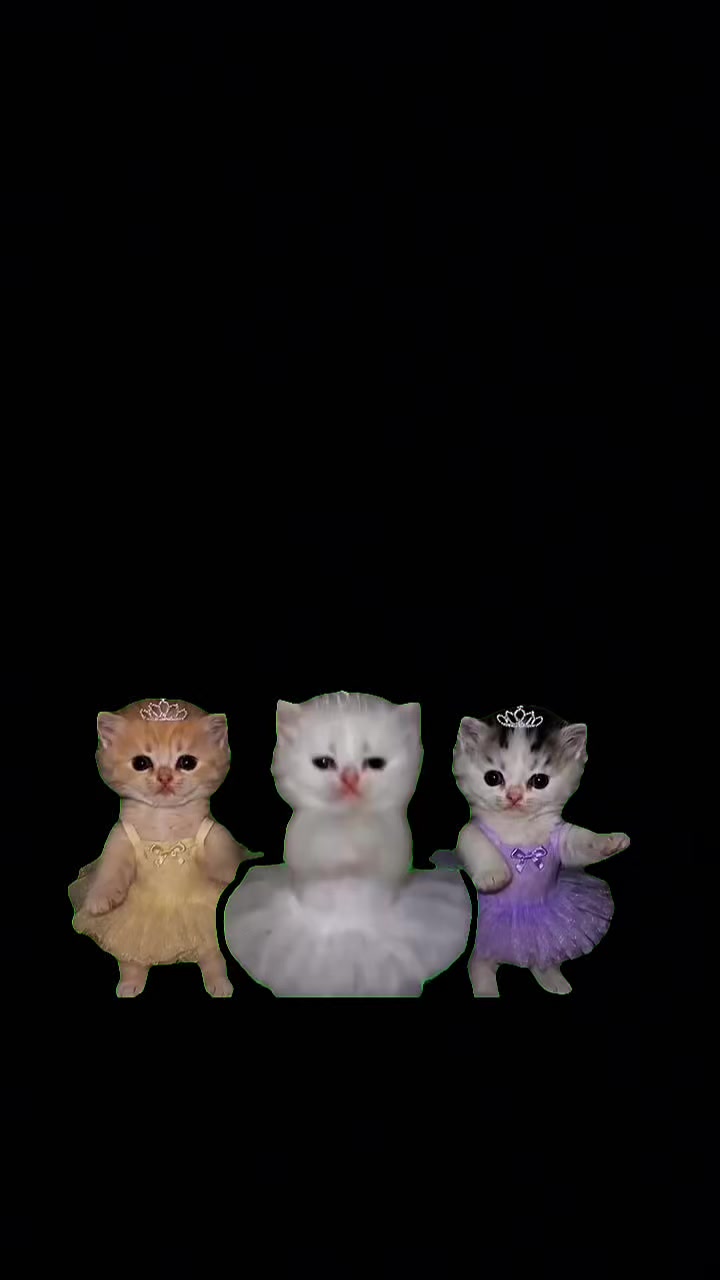 @Wtv._.dude