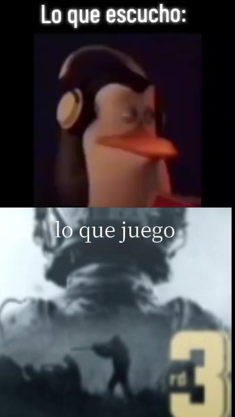 @gato de combate