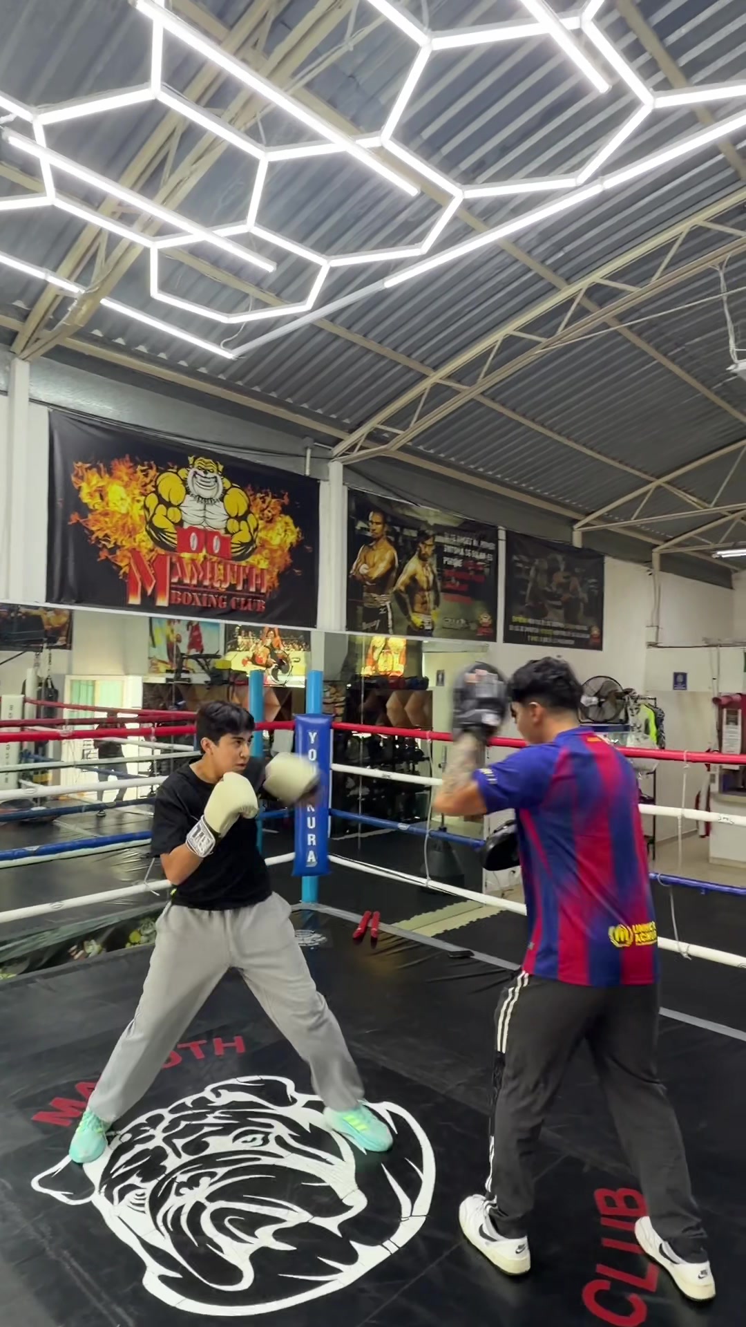 @Yonekura Boxing Club