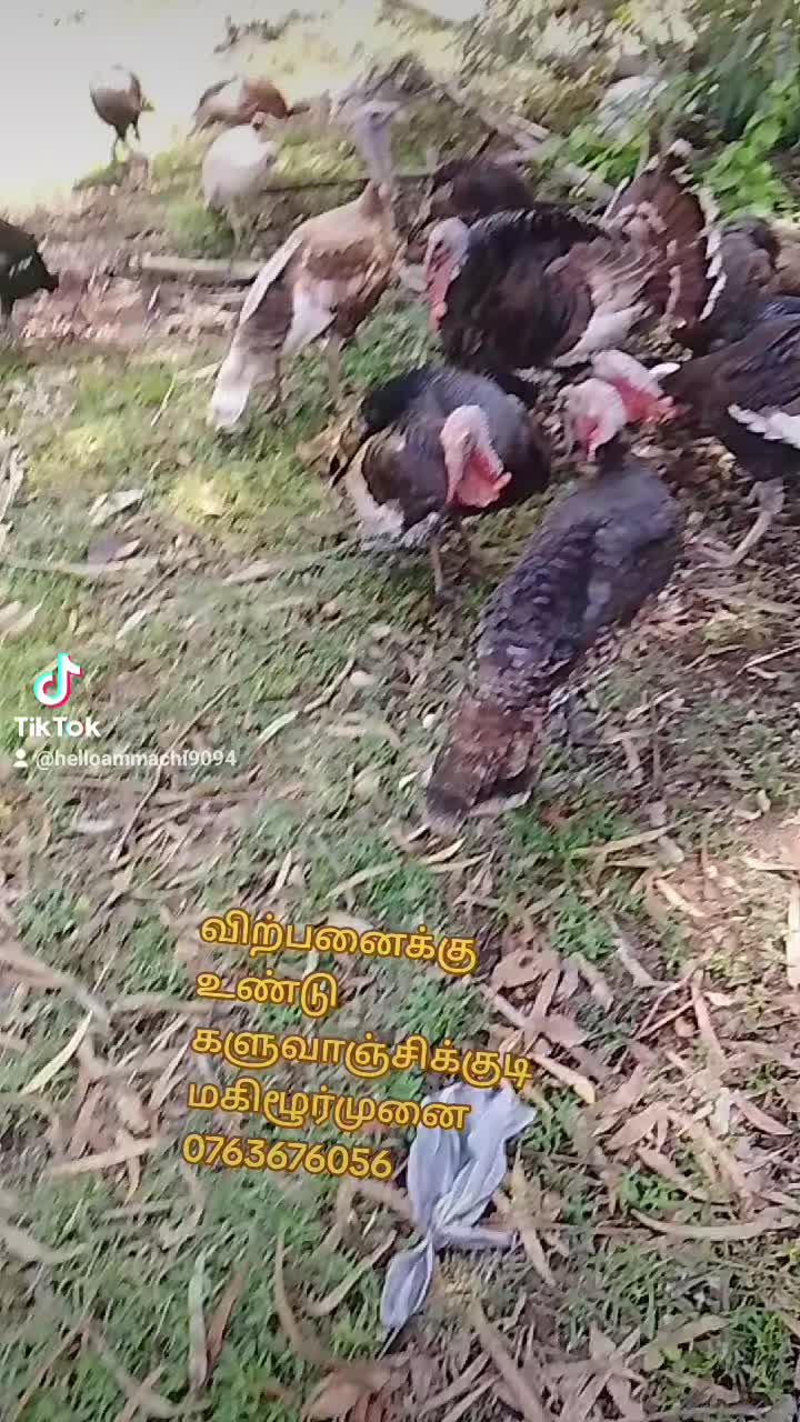 @🕉️☪️ Hello Ammachi ☸️✝️