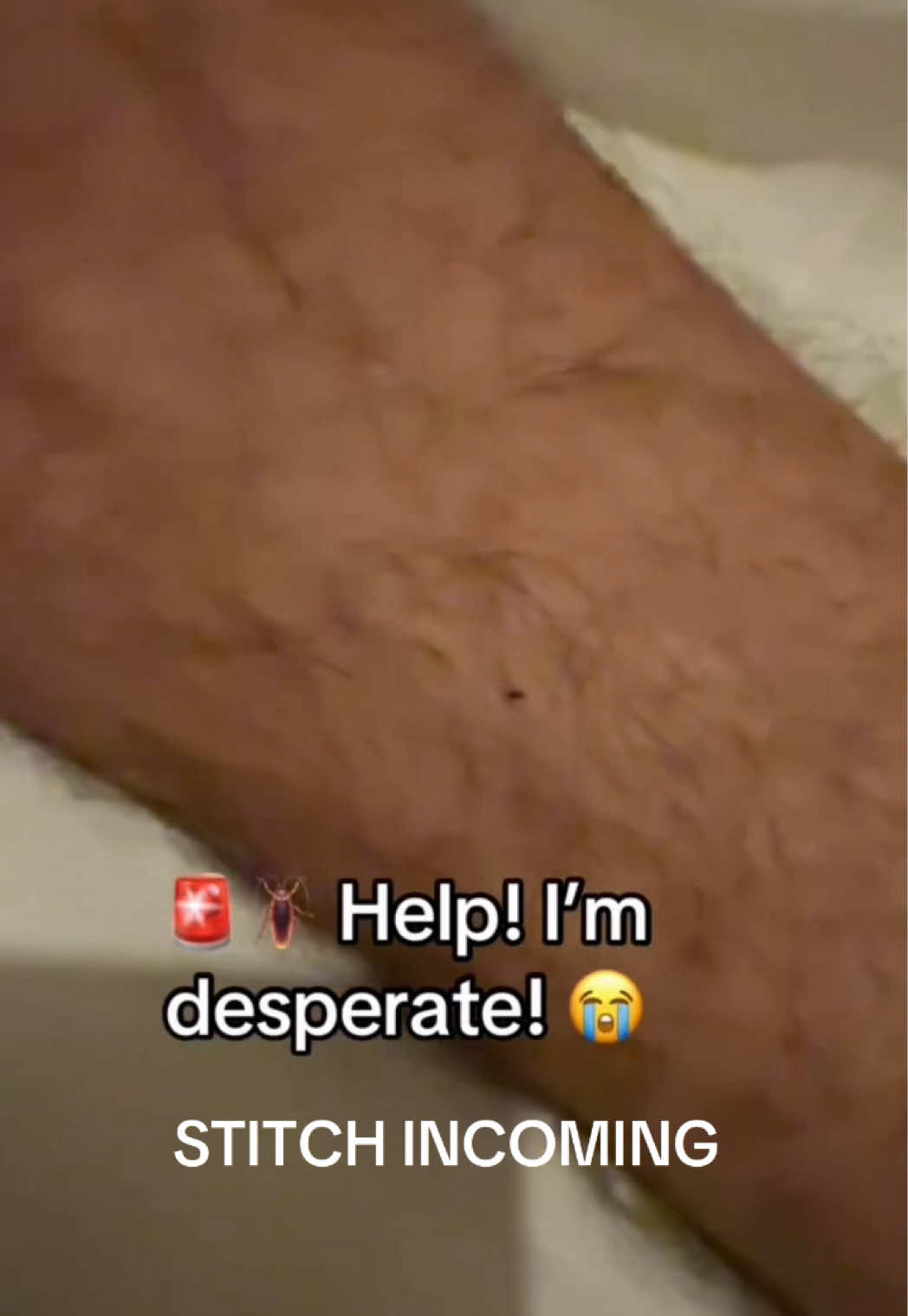 @Vital Paces
