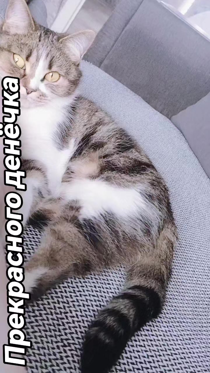 @♥️МАЛЕНЬКАЯ ♥️