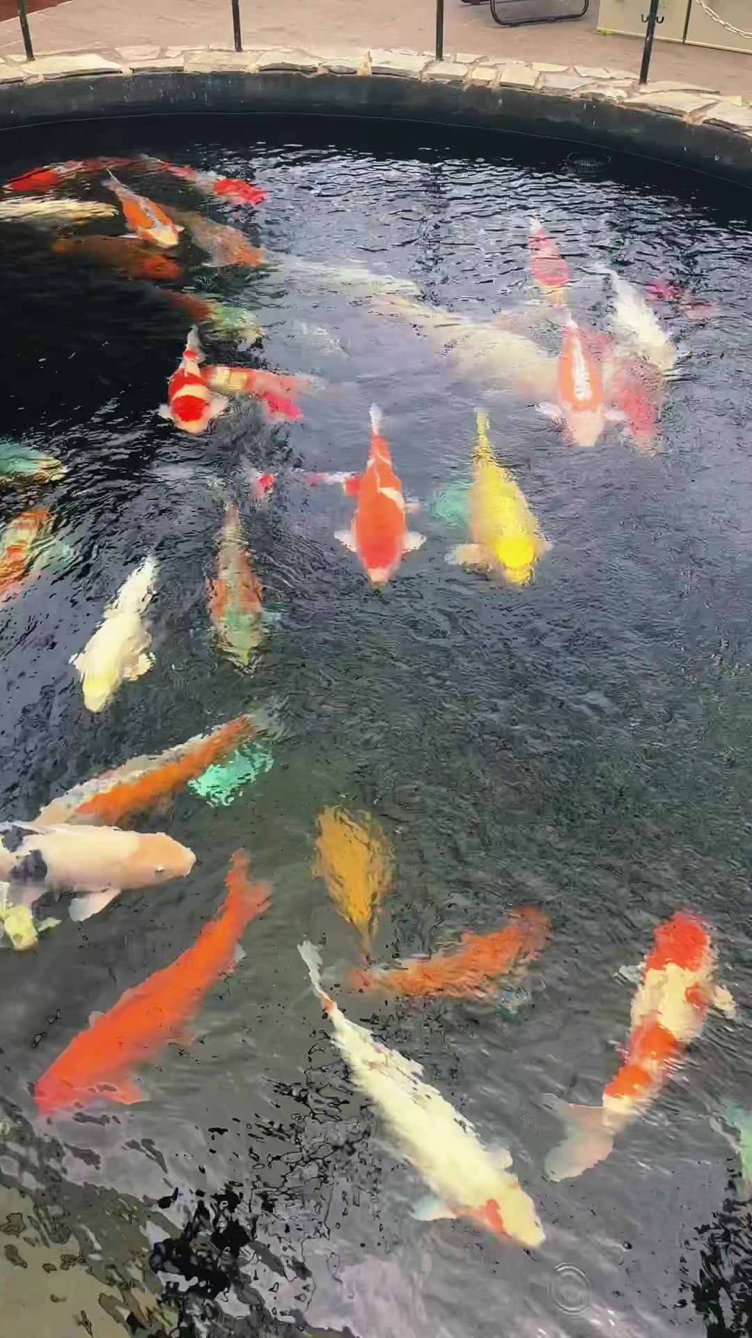 @Nguyễn Ho&agrave;ng Linh