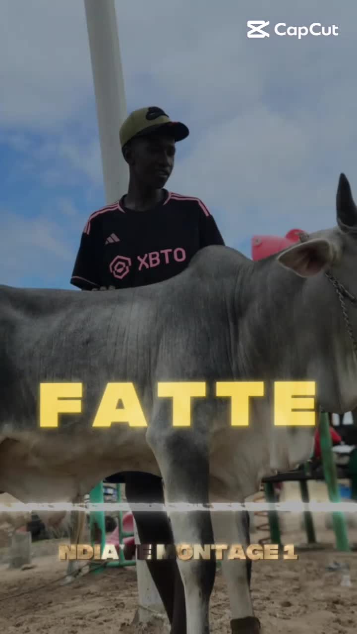 @fallou