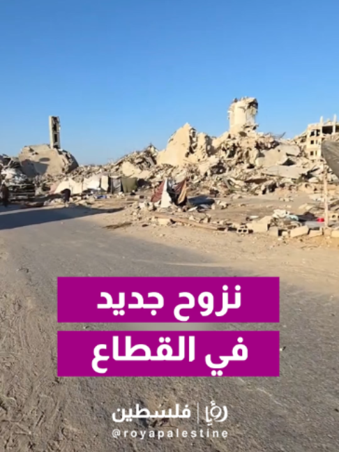 @Royapalestine رؤيا فلسطين