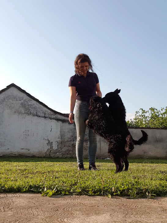 @Dragana Jovanov
