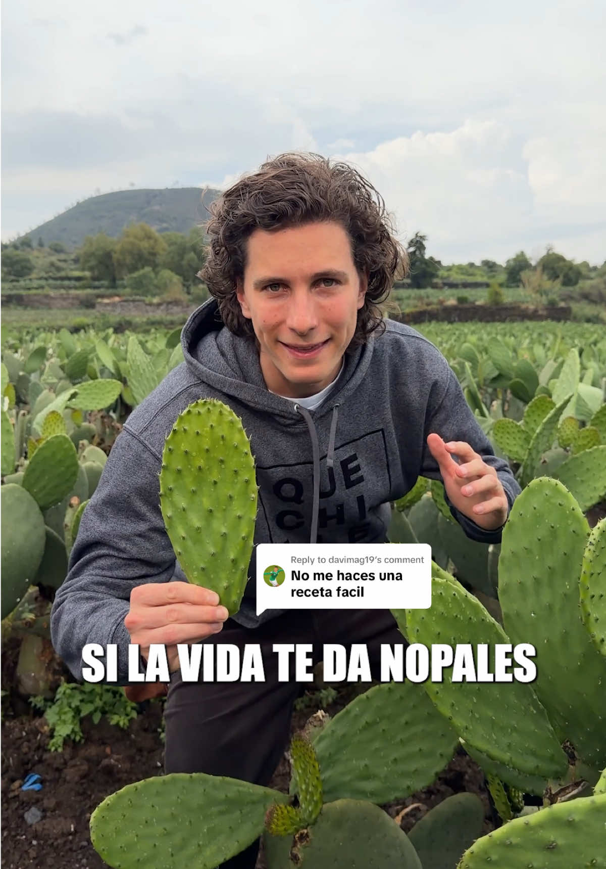 @robegrill