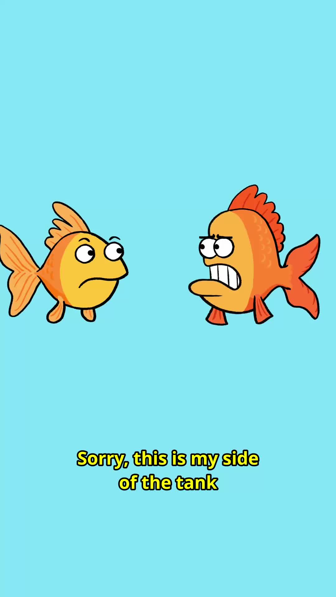 @Ross Bollinger