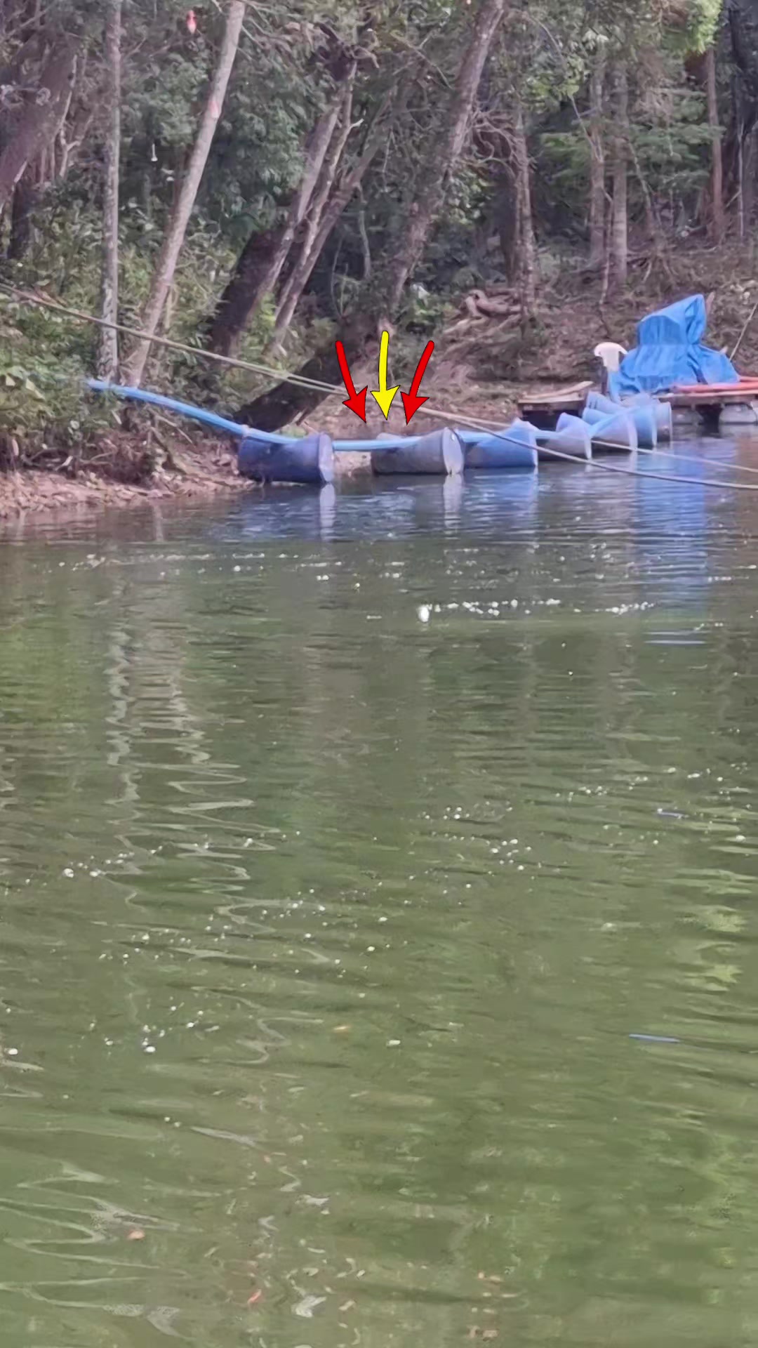 @Patrão da Pesca