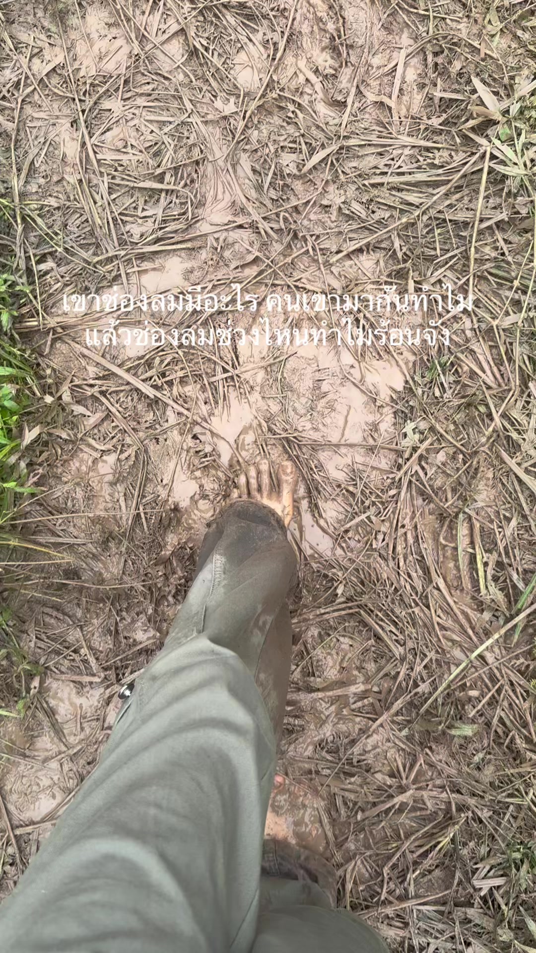 @🏕️แมดอายย📽️