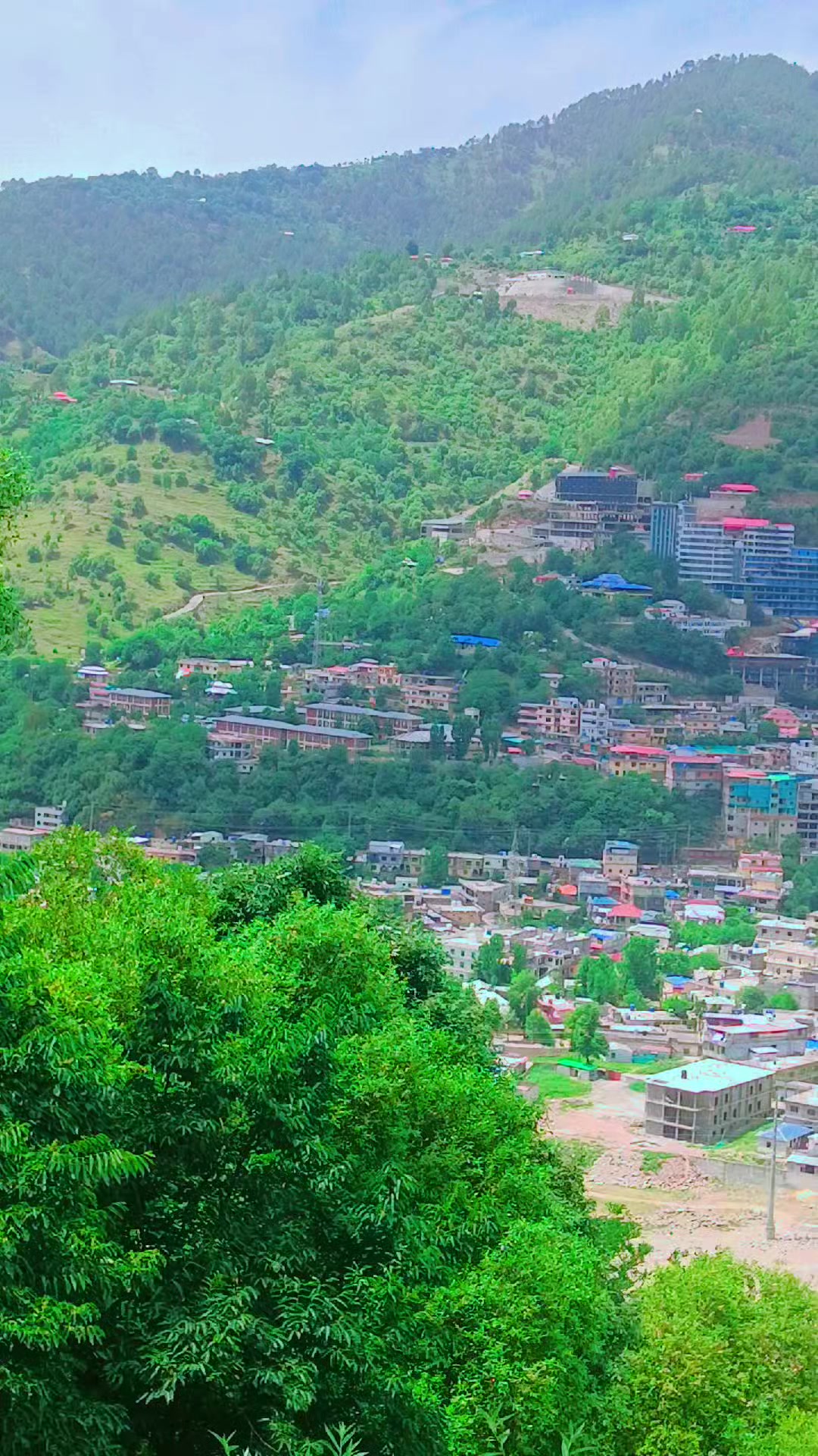 @🍁꧁༒☬ کشمیری ☬༒꧂🍁