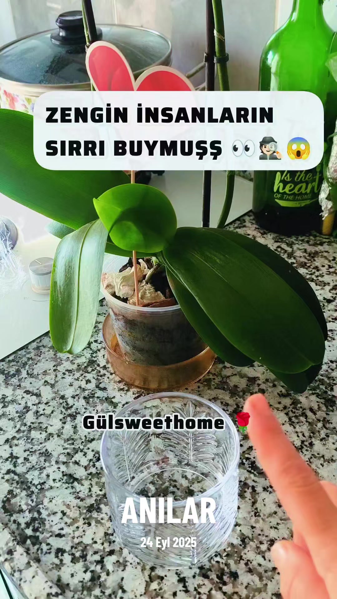 @gül_ygt34