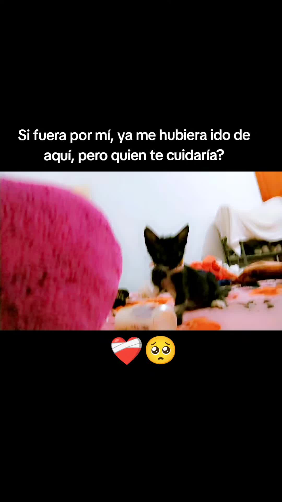 @Gaby🏳️&zwj;🌈❤️&zwj;🩹