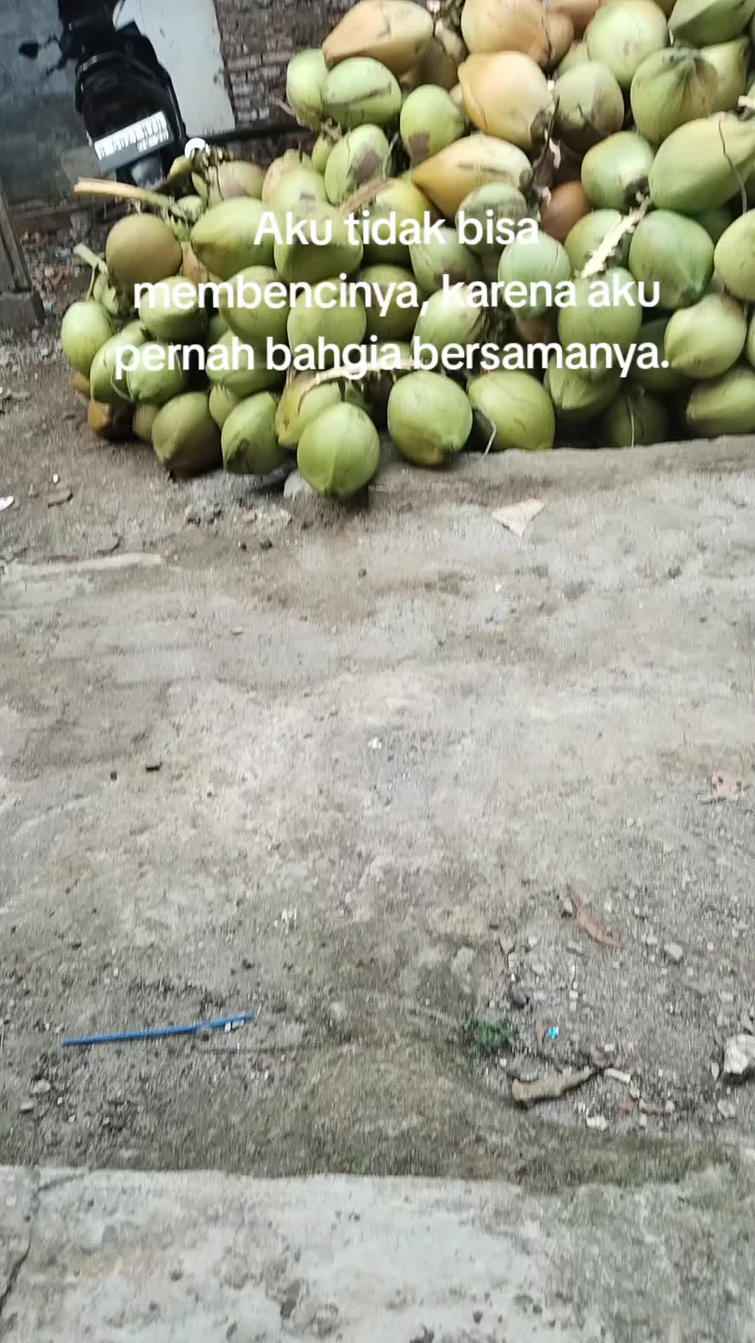 @@BANGKIT_MANDIRI01