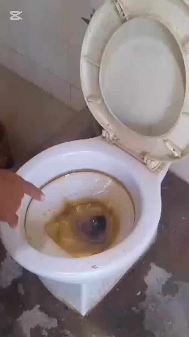 @el manao la película