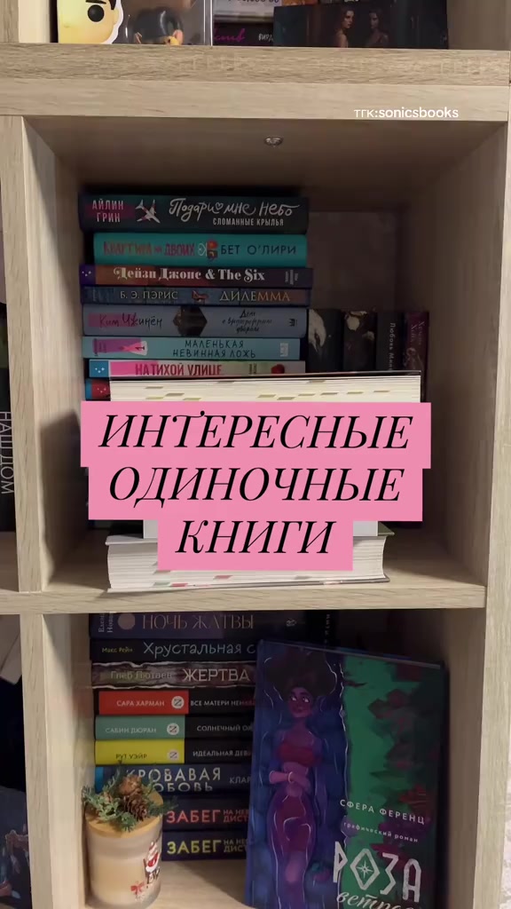 @🩶живу в книгах🩶