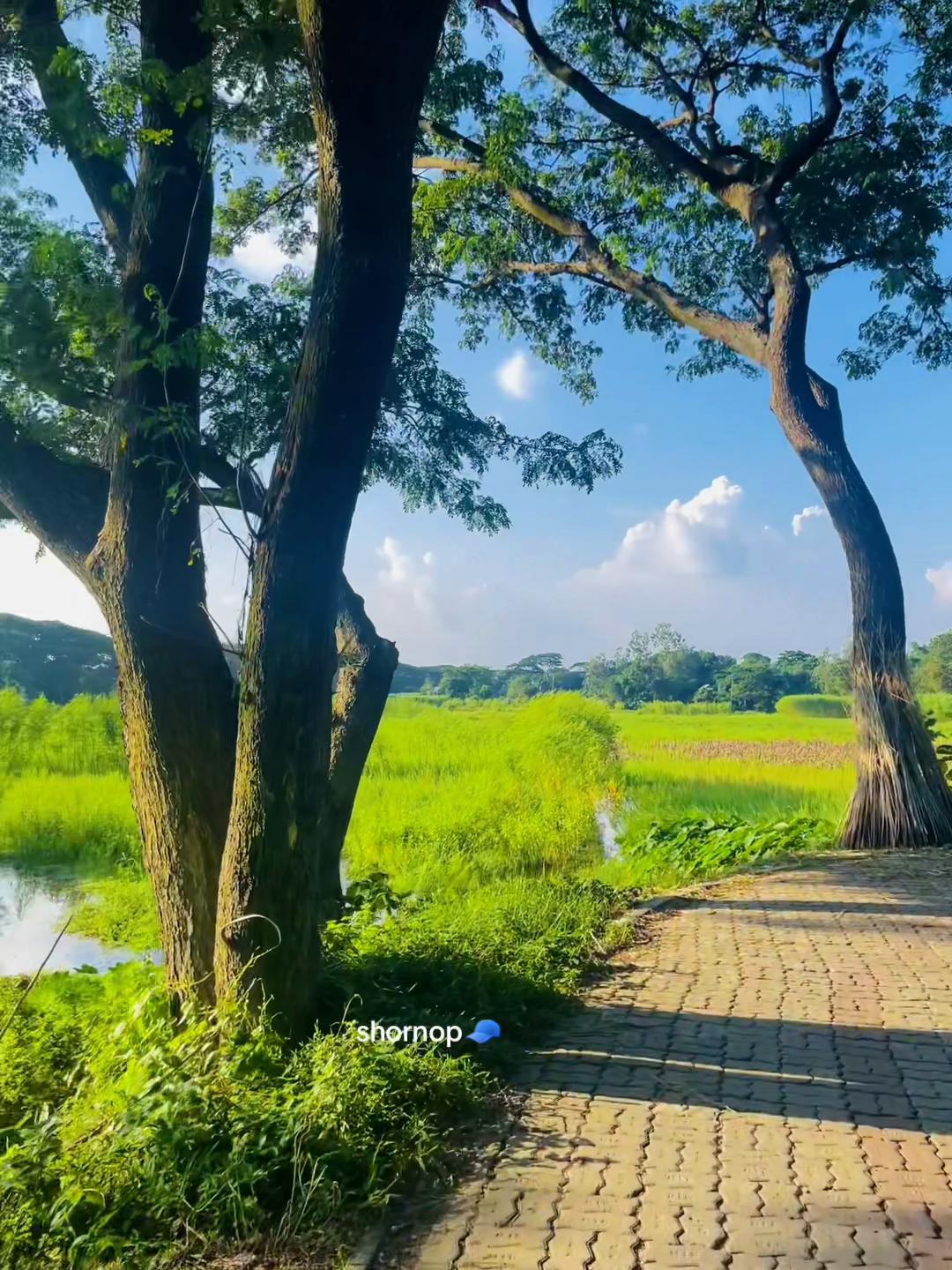 @🕊️♡Տԩόɹ𝖓ό𝒑🌱🧢