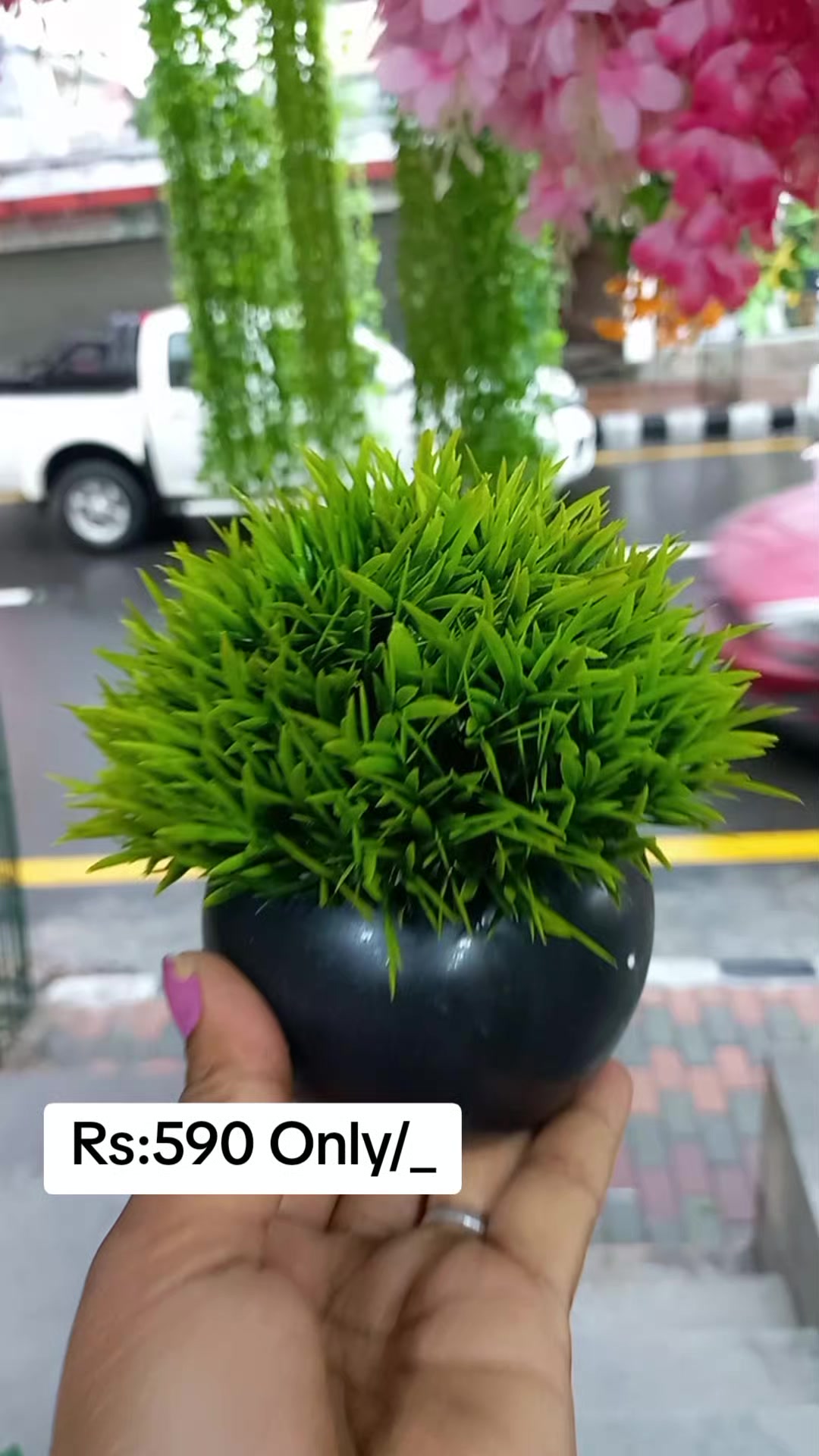 @Flora_p0int-dhumbarahi
