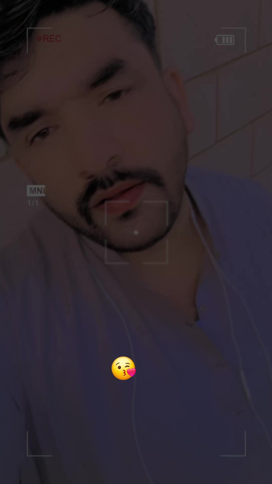 @King___Gull