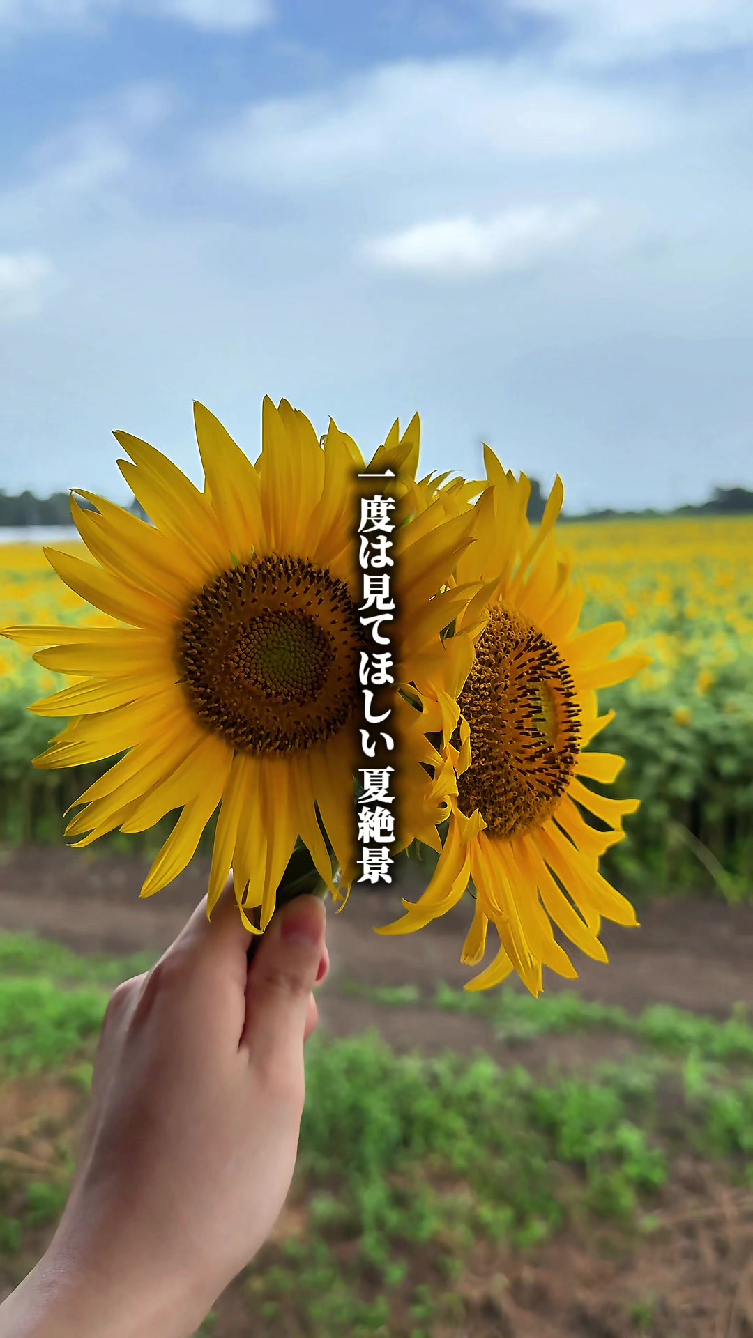 @ペイちゃん【宮崎グルメ/観光】