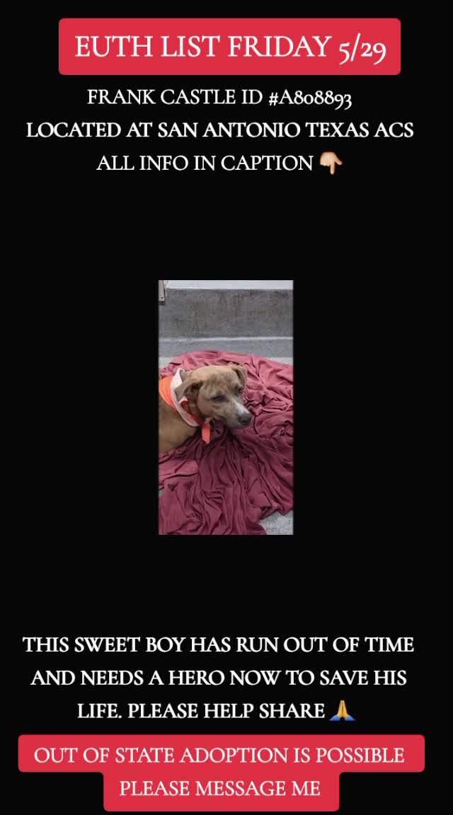 @@rescuedogs911
