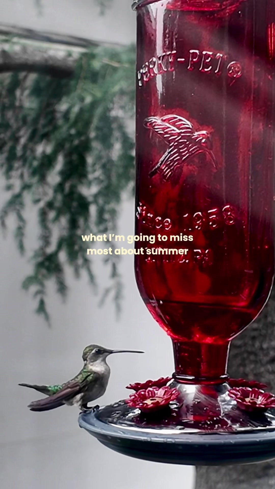 @Methodical Muses