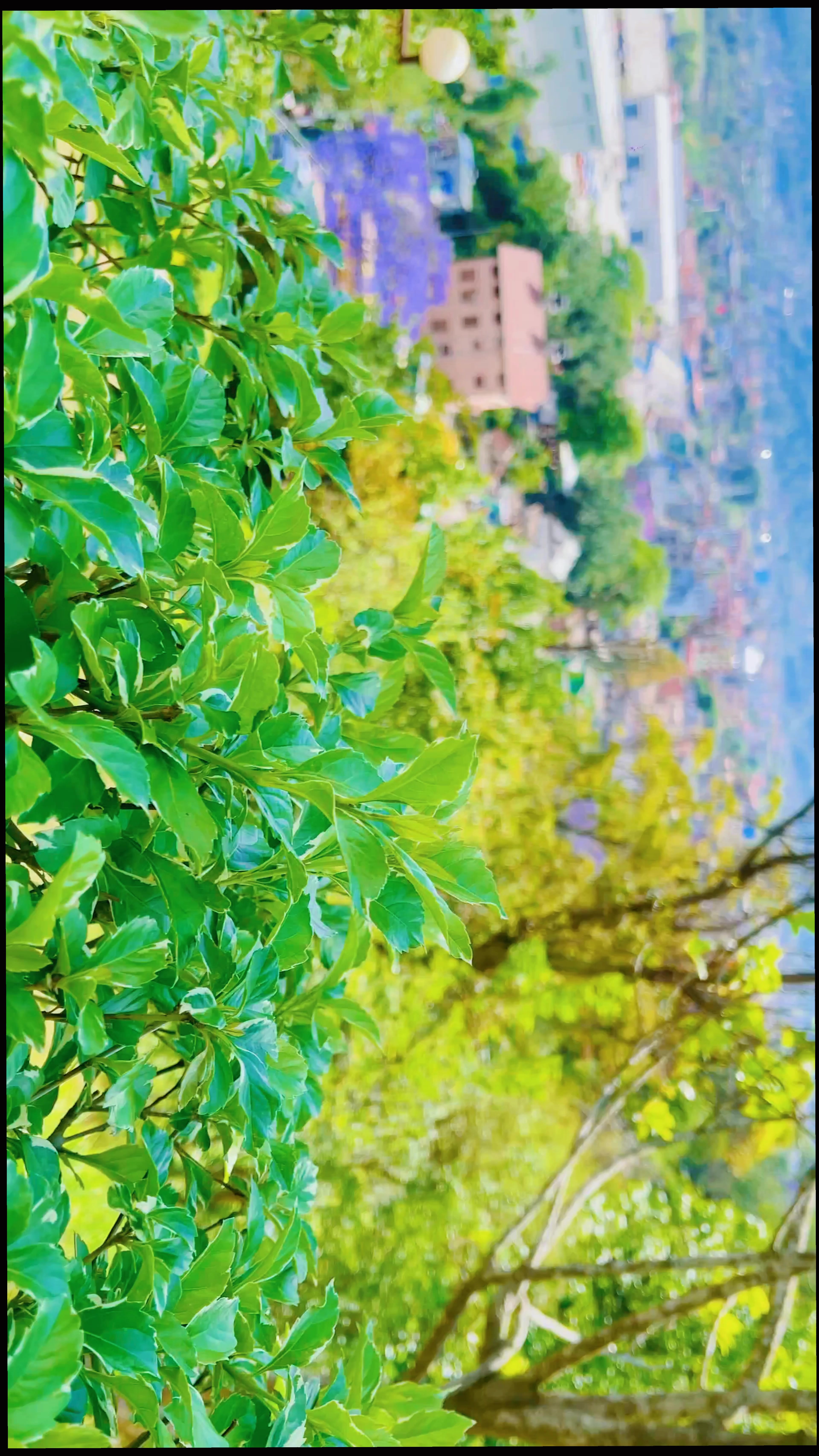 @Mr. Yadhuvanshi_🔥