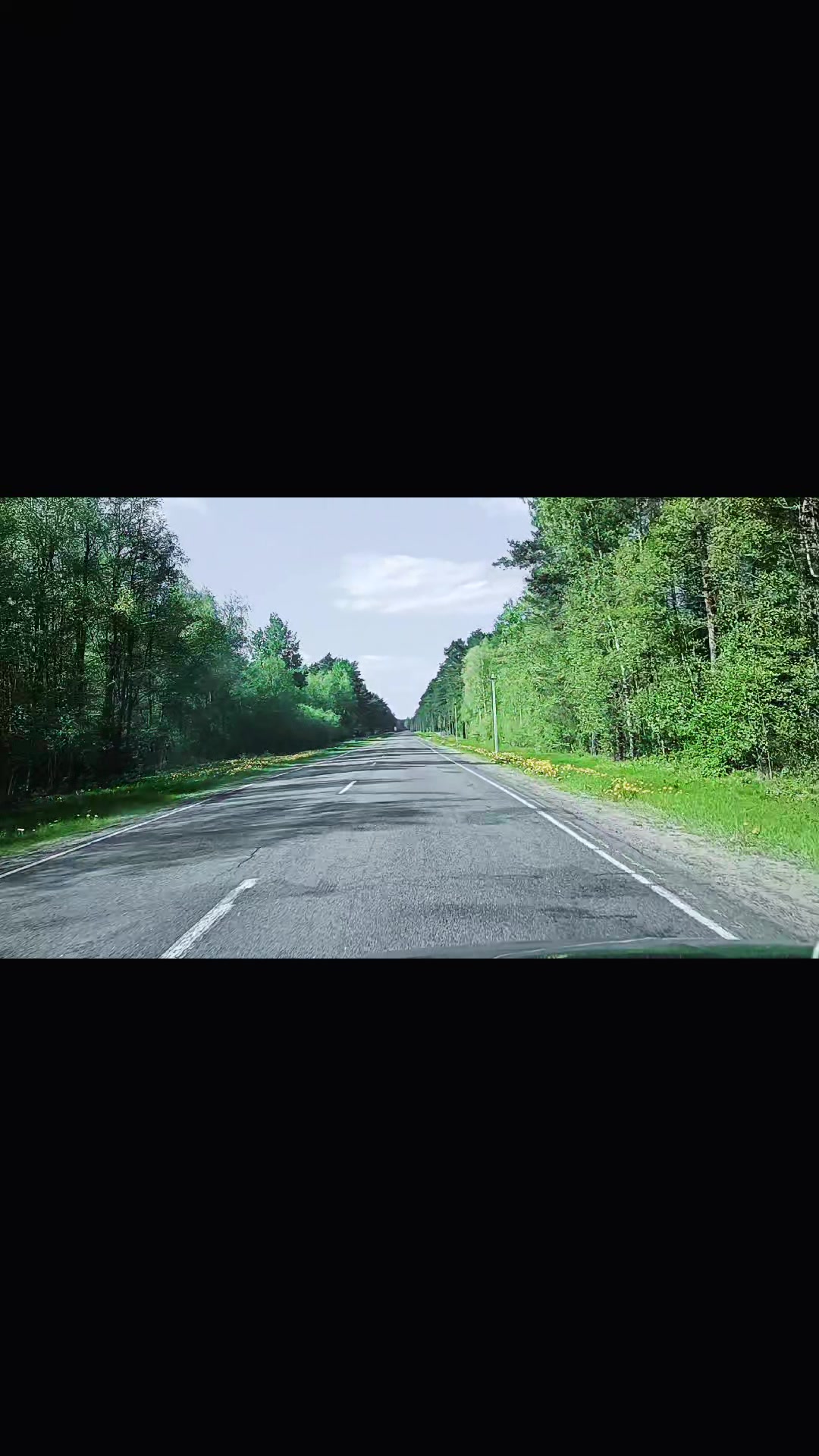 @Александр (Шурик)