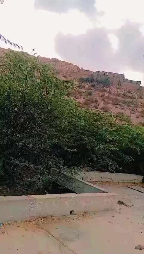 @KING DADO SULEMANKHEL8220