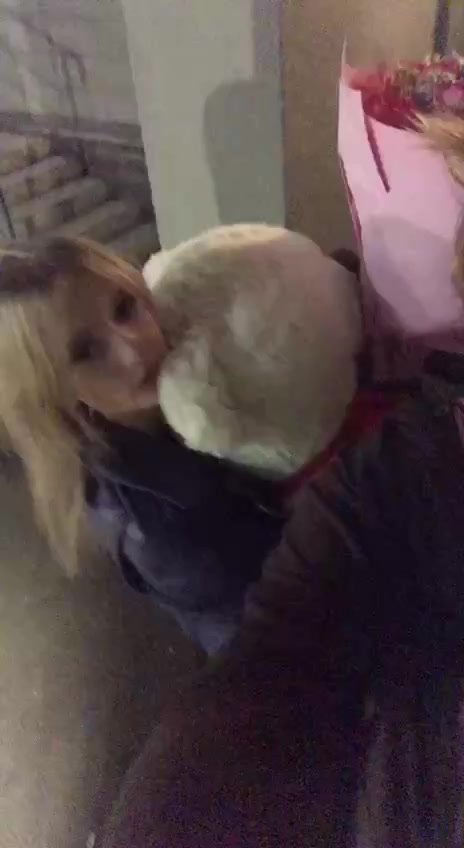 @гэпова