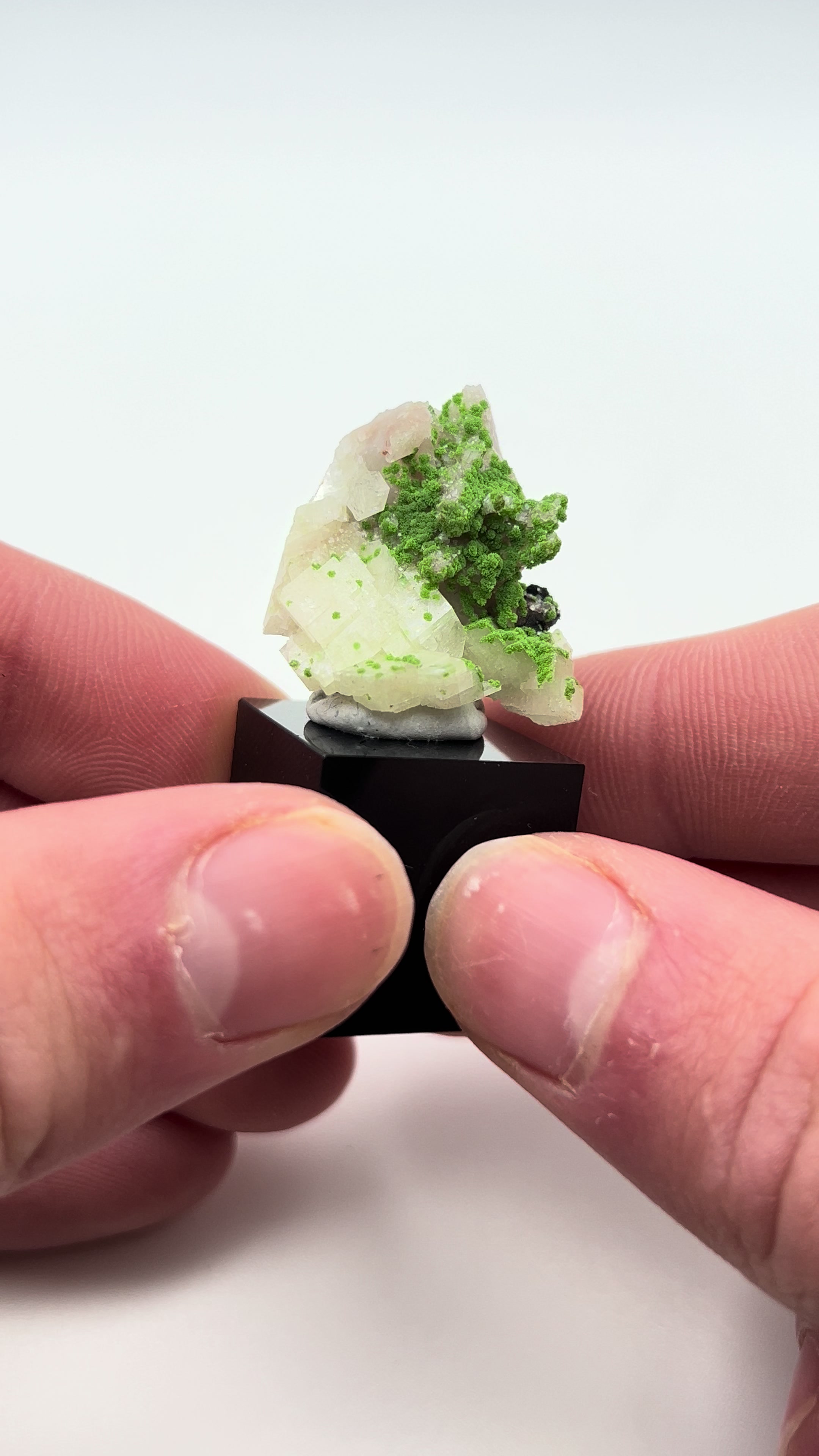 @Capital Crystals | Minerals