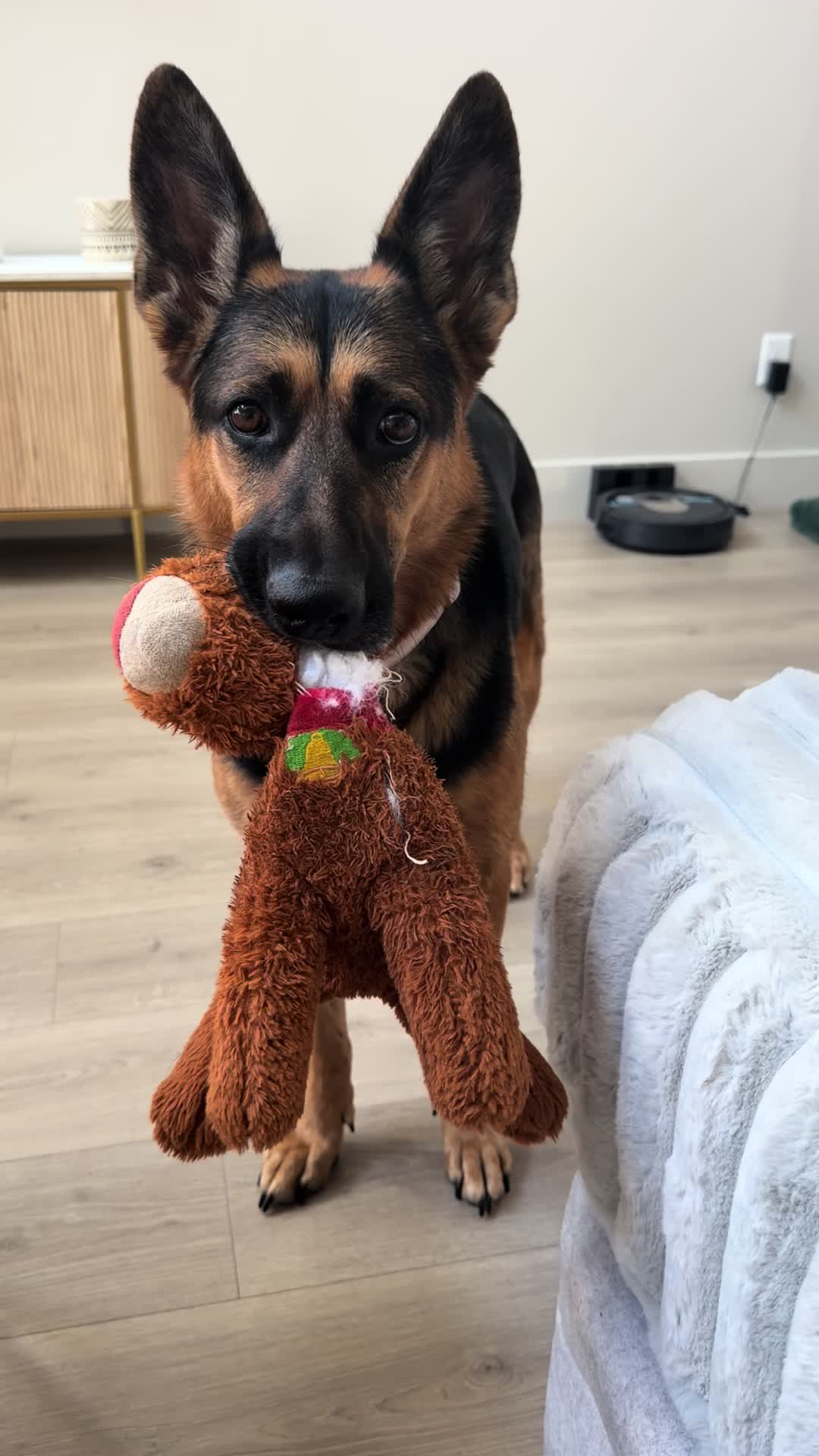@Rory The Not-Working GSD