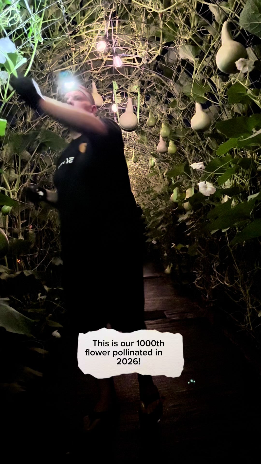 @Gourdfarmer