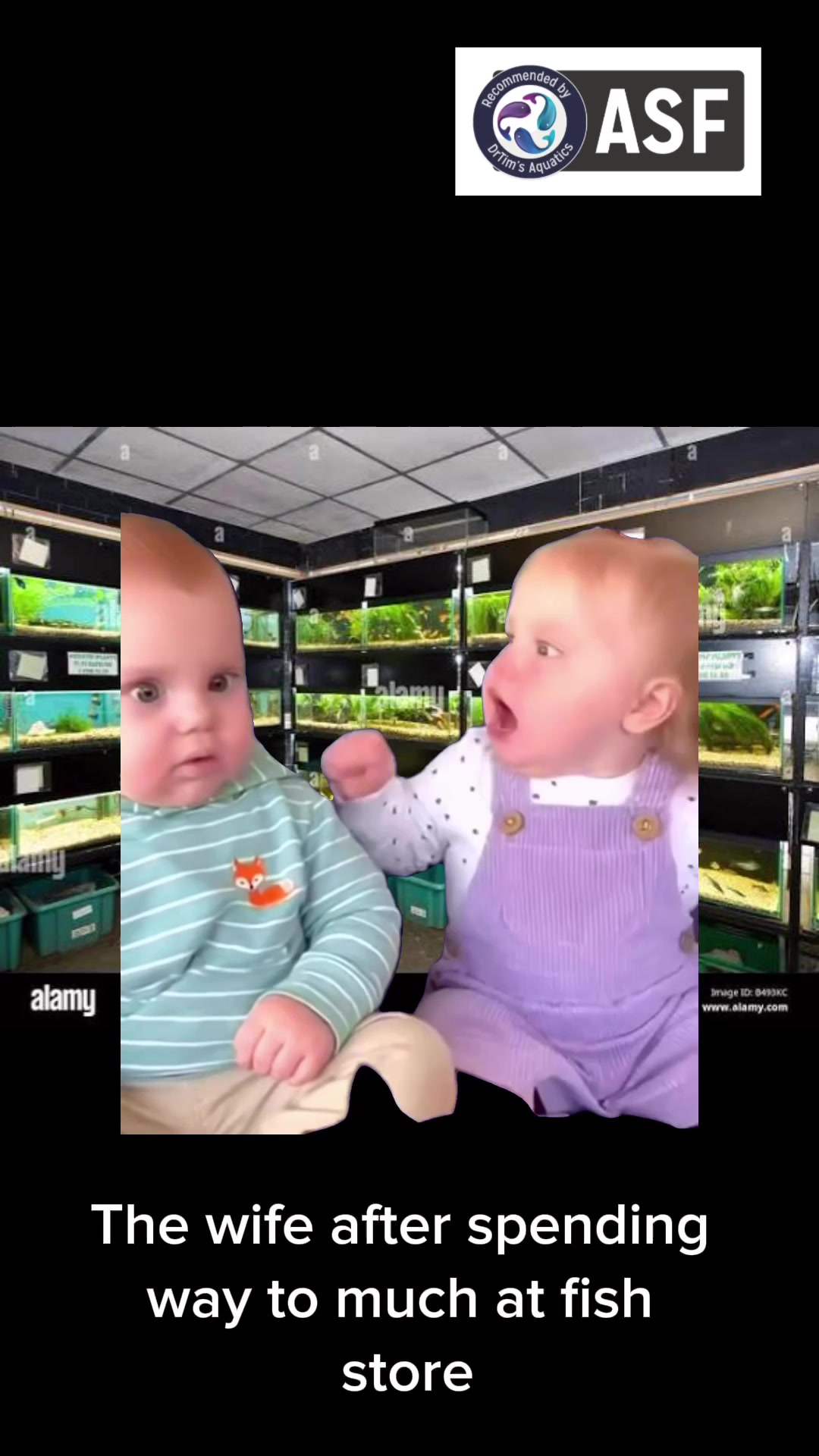 @DrTim