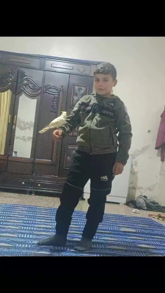 @🌺🌺الأمل بالله🌺🌺