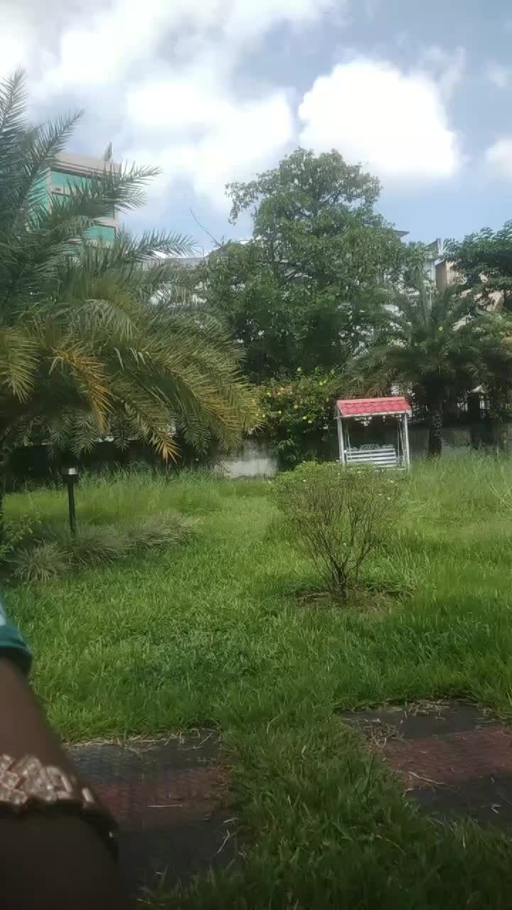 @উড়াল পাখি