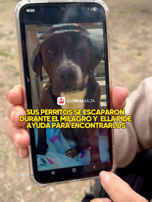 @Que Pasa Salta