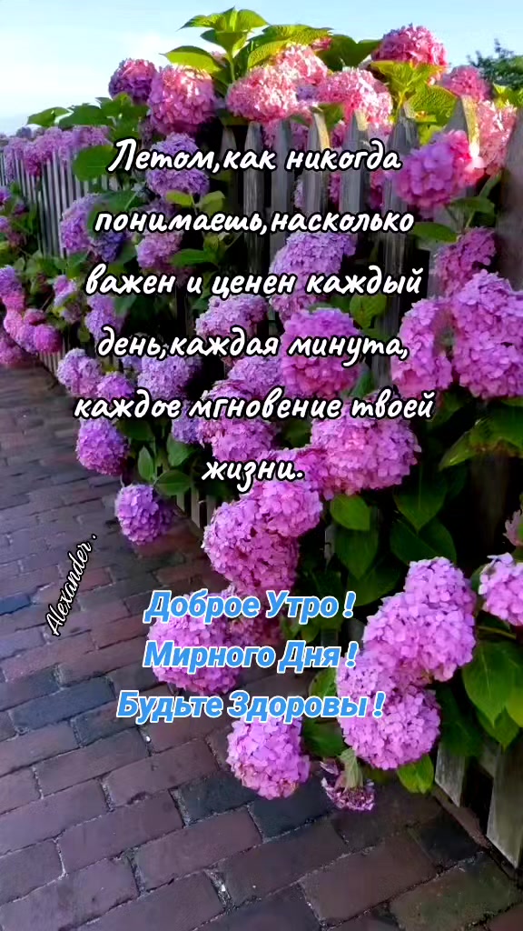 @Александр