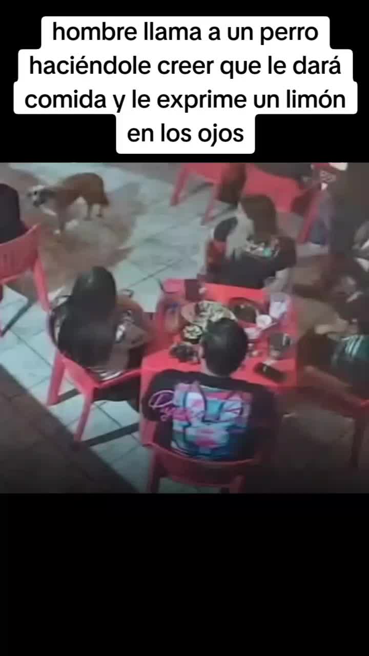 @Brasil