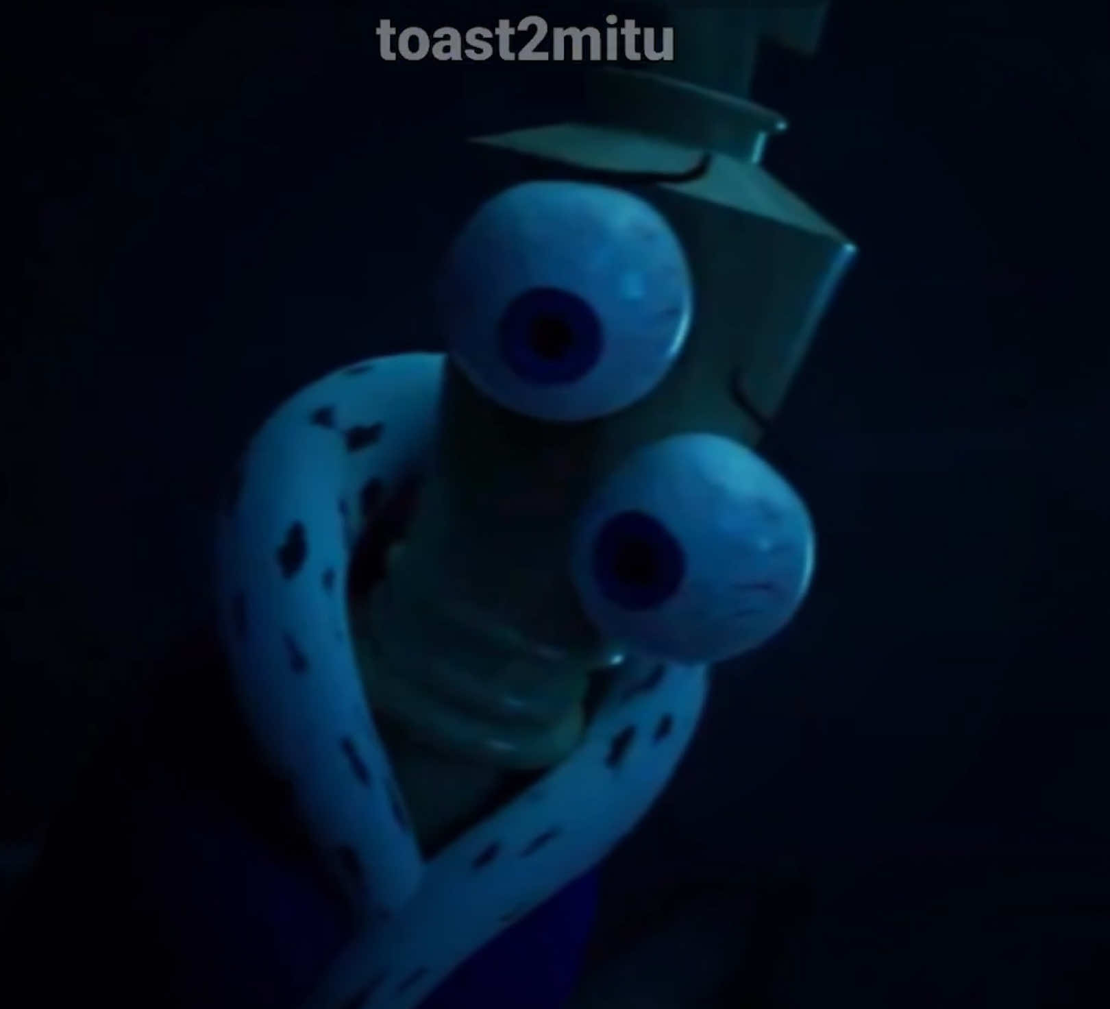 @t2m ✦