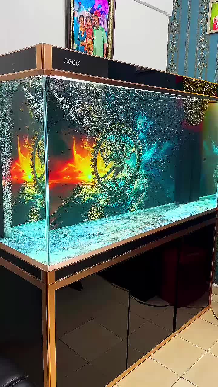 @MK AROWANA SPECIALIST