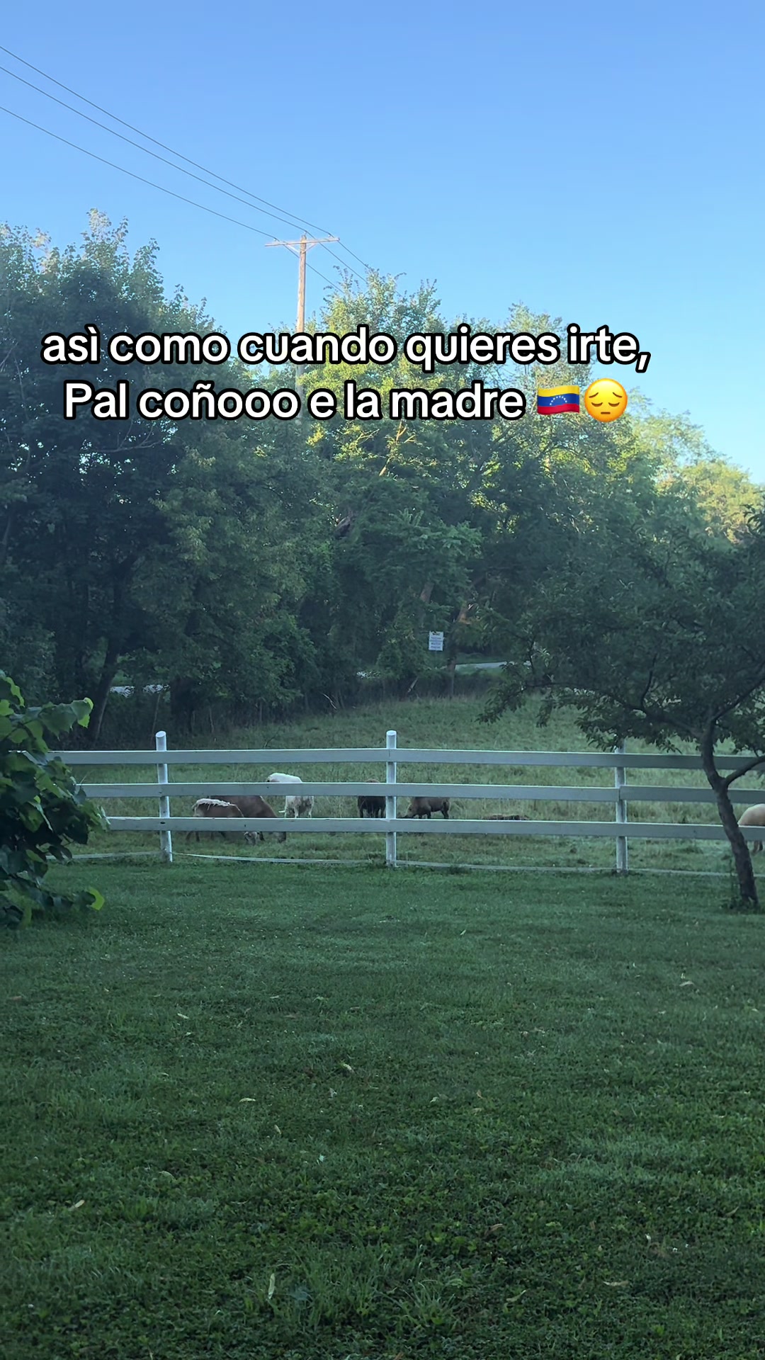 @Indres