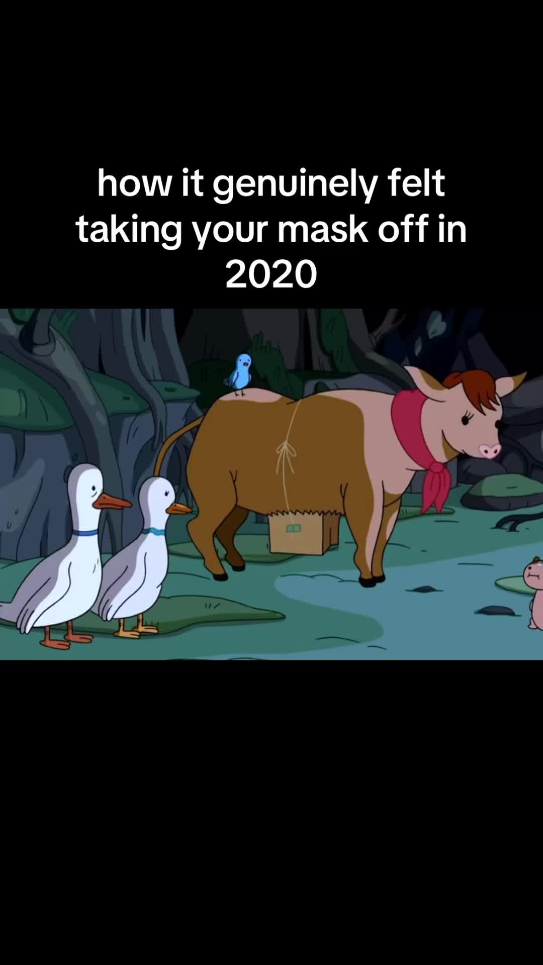 @jay